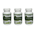 3 Suplementos Cavalinha Wnutry 120 Cápsulas Beleza Pele Cabelo Unhas