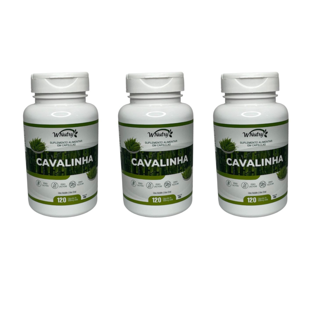 3 Suplementos Cavalinha Wnutry 120 Cápsulas Beleza Pele Cabelo Unhas