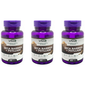 Kit de 3 Suplementos Seca Barriga + Psyllium Alta Potência 120 Caps