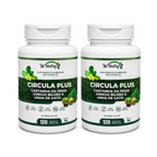 2 Suplementos Circula Plus Castanha Da Índia Ginkgo Biloba Premium 2x120 Caps