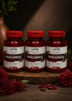 3 Suplementos Mulungu 120 Cápsulas Relaxamento Natural