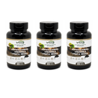 Kit De 3 Suplementos Ashwagandha + Moringa + Maca Negra 3x120Caps Wnutry