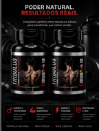 2 Suplementos Tribulus Terrestris Max Testo Plus Alta Potência
