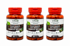 Kit 3 Castanhas Da Índia + Ginkgo Biloba Circulação Power Suplemento