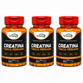 3 Suplementos Creatina + Maca Peruana Força Energia