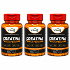 3 Suplementos Creatina + Maca Peruana Força Energia