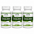 3 Suplementos Cavalinha Wnutry 120 Cápsulas Beleza Pele Cabelo Unhas