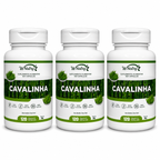 3 Suplementos Cavalinha Wnutry 120 Cápsulas Beleza Pele Cabelo Unhas