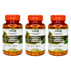 3 Suplementos Melissa Camomila Maracujá Relaxamento Natural