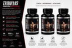 3 Suplementos Tribulus Terrestris Max Testo Plus Alta Potência 3x120 Caps