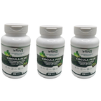 3 Suplementos Circula Plus Castanha Da Índia Ginkgo Biloba 3x120 Caps