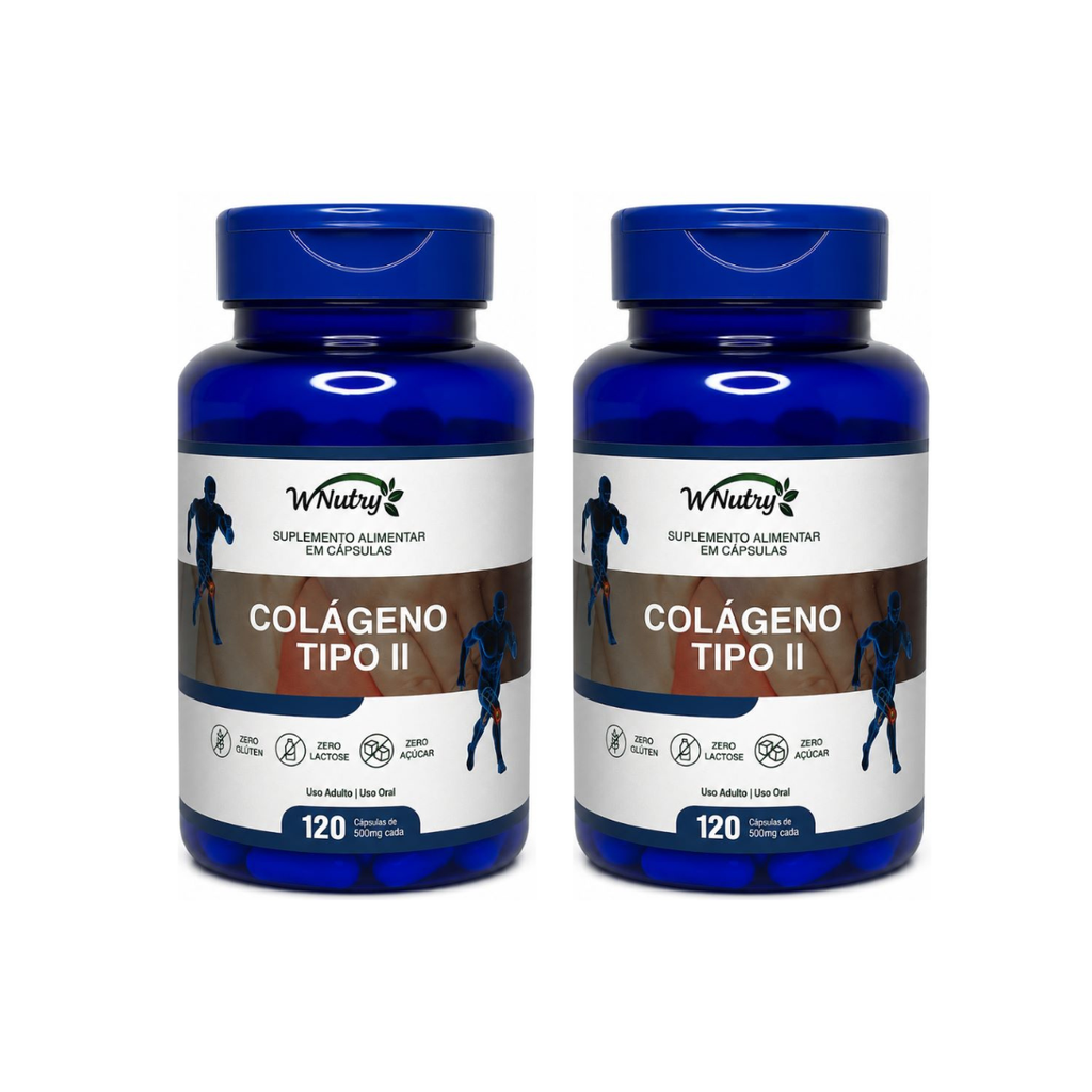 2 Suplementos Colágeno Tipo-2 2x120Cáps Articulações Mobilidade