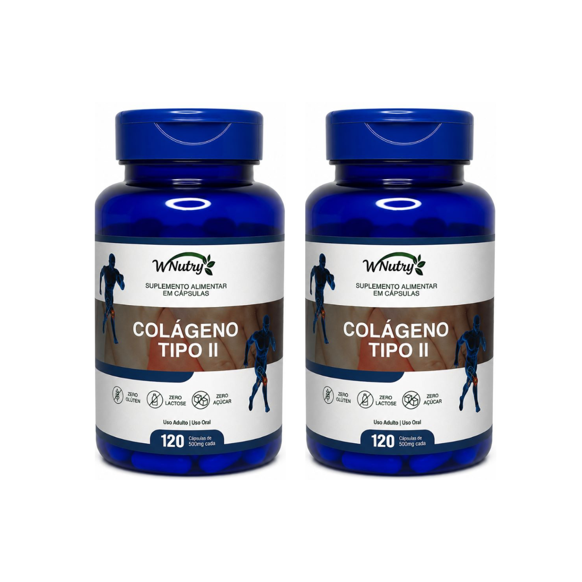 2 Suplementos Colágeno Tipo-2 2x120Cáps Articulações Mobilidade